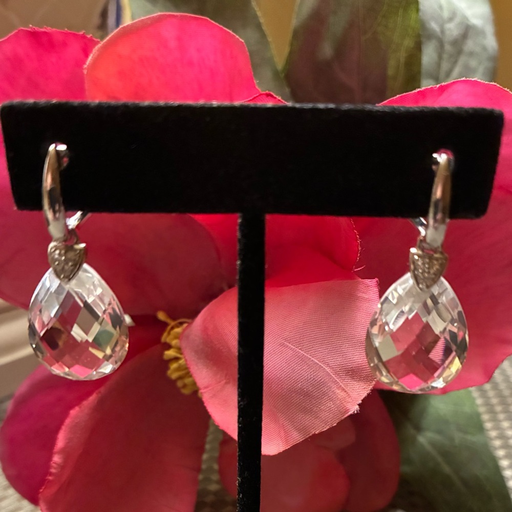 Elegant Silver Teardrop earrings